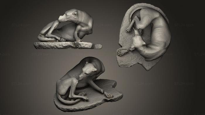 Статуэтки животных (Собака лижет рану, STKJ_0032) 3D модель для ЧПУ станка